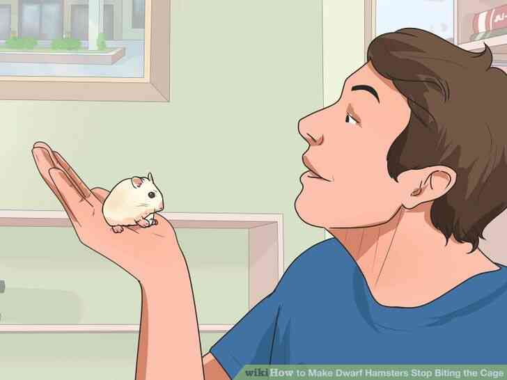 Image intitulée Faire des Hamsters Nains Arrêter de Mordre la Cage de l